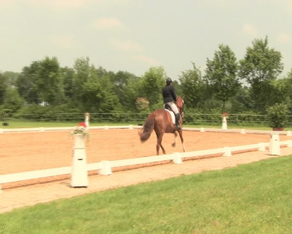 Reitturnier Hille 2016