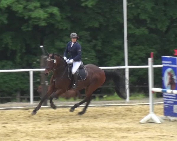 Reitturnier Sprockhövel, Auf der Gethe 2016