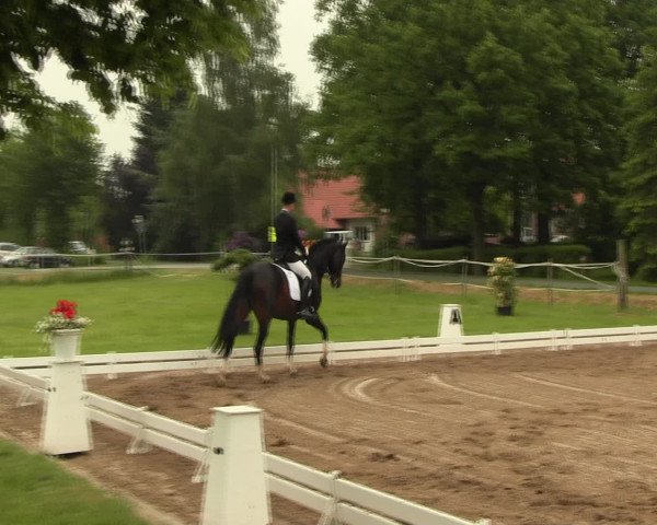 Reitturnier Hille 2016