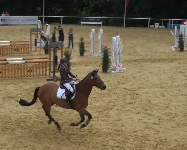 Reitturnier Sprockhövel, Auf der Gethe 2016