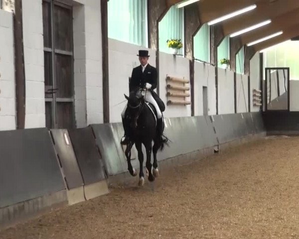 Reitturnier Kierspe-Hohenholten 2016