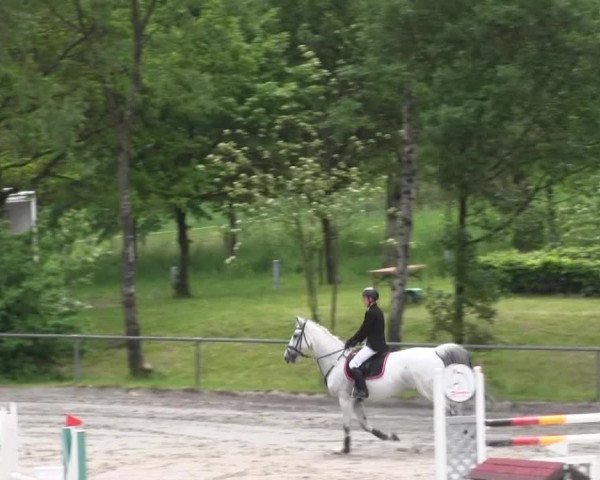 Reitturnier Kierspe-Hohenholten 2016