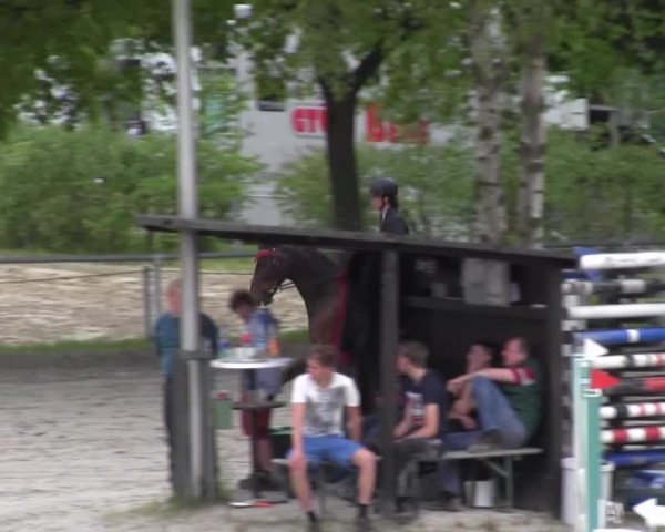 Reitturnier Kierspe-Hohenholten 2016