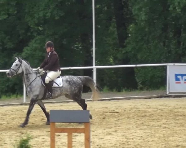 Reitturnier Sprockhövel, Auf der Gethe 2016