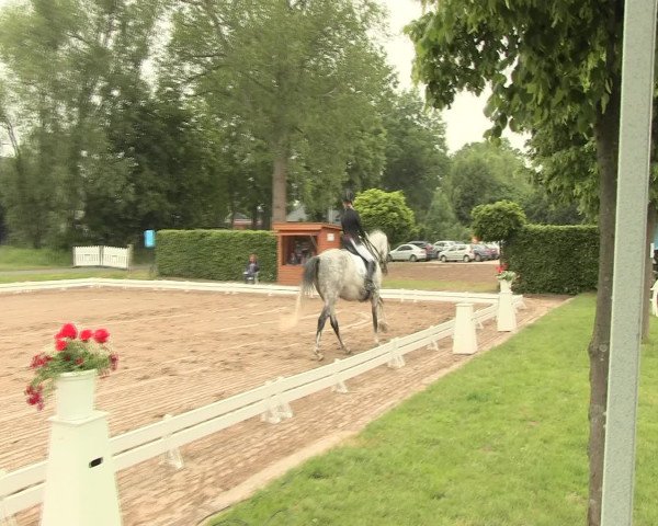 Reitturnier Hille 2016