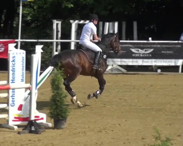 Reitturnier Sprockhövel, Auf der Gethe 2016