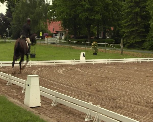 Reitturnier Hille 2016