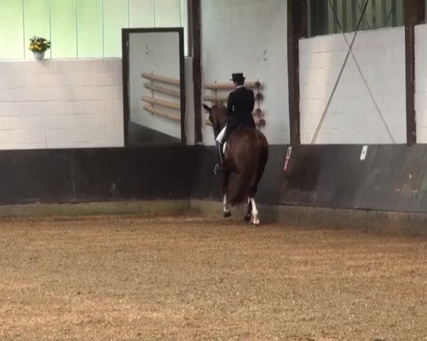 Reitturnier Kierspe-Hohenholten 2016