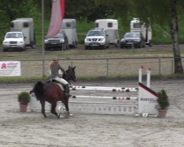 Reitturnier Kierspe-Hohenholten 2016
