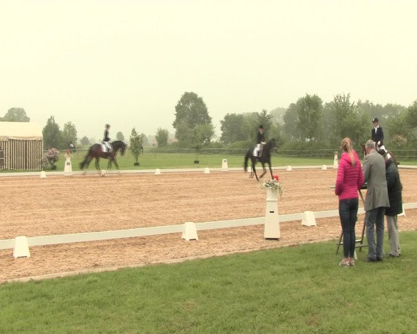 Reitturnier Hille 2016