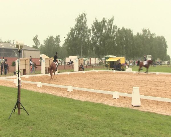Reitturnier Hille 2016
