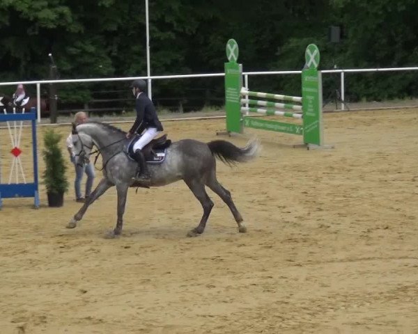 Reitturnier Sprockhövel, Auf der Gethe 2016