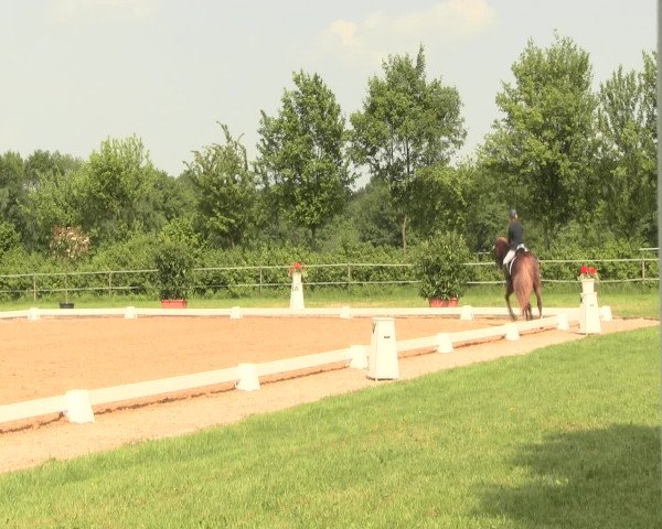 Reitturnier Hille 2016