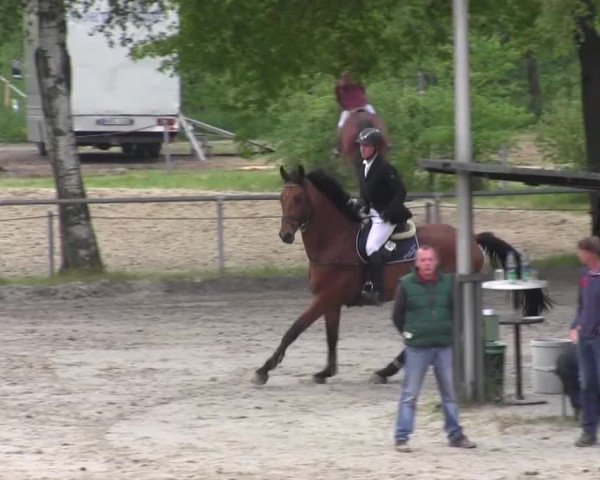 Reitturnier Kierspe-Hohenholten 2016