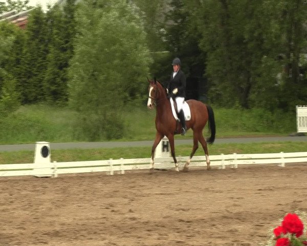 Reitturnier Hille 2016