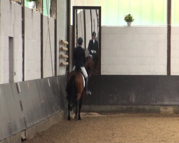 Reitturnier Kierspe-Hohenholten 2016