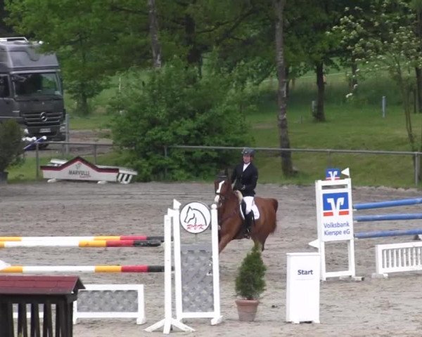 Reitturnier Kierspe-Hohenholten 2016