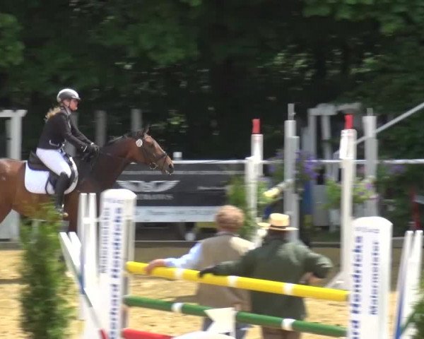 Reitturnier Sprockhövel, Auf der Gethe 2016