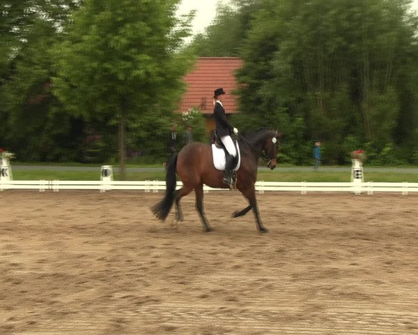 Reitturnier Hille 2016