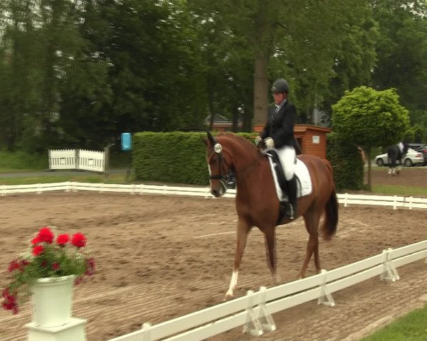 Reitturnier Hille 2016
