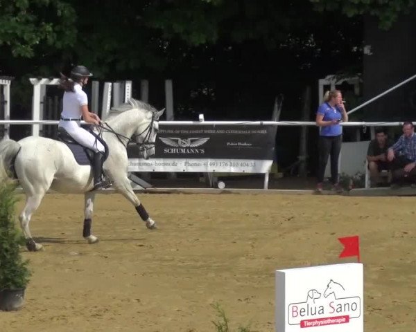 Reitturnier Sprockhövel, Auf der Gethe 2016
