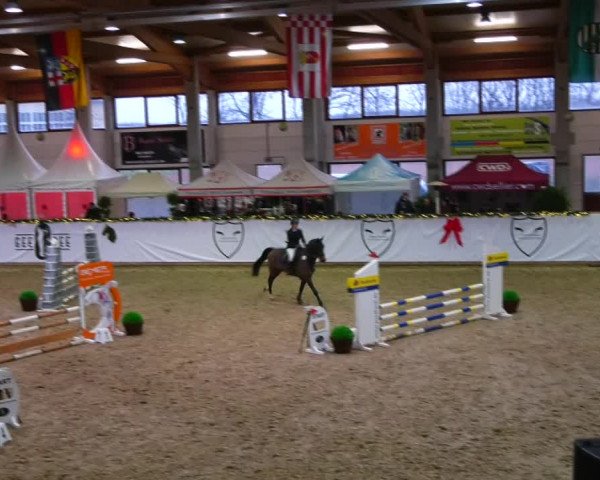 Christmas Jumping Trophy Prussendorf 2021