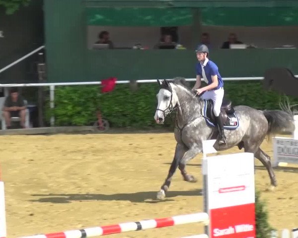 Reitturnier Sprockhövel, Auf der Gethe 2016