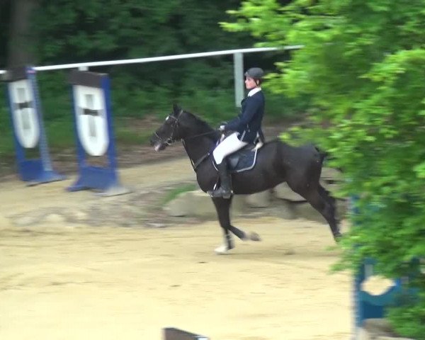 Reitturnier Sprockhövel, Auf der Gethe 2016