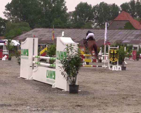 Reitturnier Bissendorf - Gut Stockum 2016