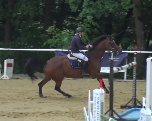 Reitturnier Sprockhövel, Auf der Gethe 2016