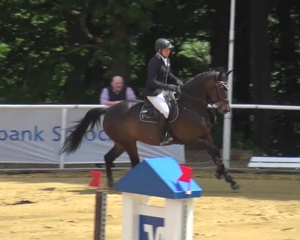 Reitturnier Sprockhövel, Auf der Gethe 2016