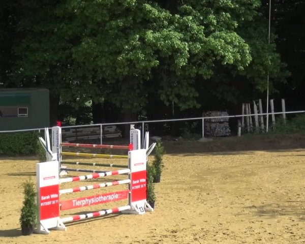 Reitturnier Sprockhövel, Auf der Gethe 2016