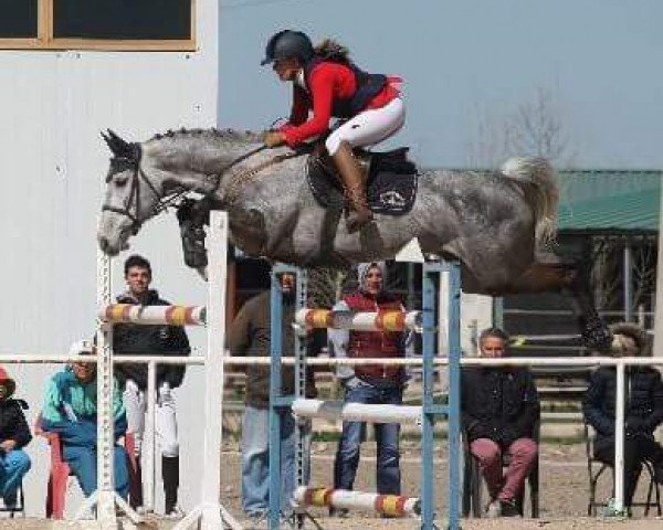 broodmare Herodia (Mecklenburg, 2008, from Heartbreaker)