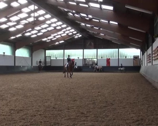 Reitturnier Kierspe-Hohenholten 2016