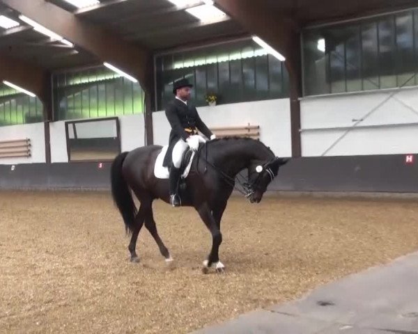 Reitturnier Kierspe-Hohenholten 2016