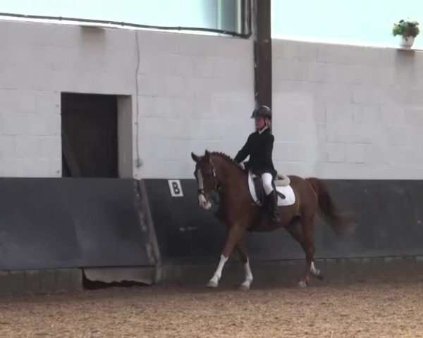 Reitturnier Kierspe-Hohenholten 2016