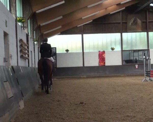 Reitturnier Kierspe-Hohenholten 2016