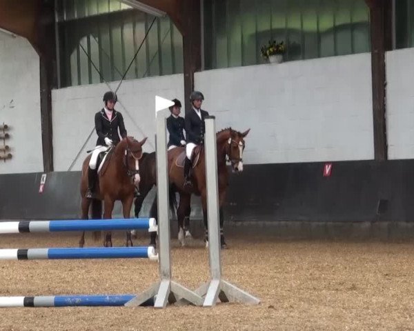 Reitturnier Kierspe-Hohenholten 2016
