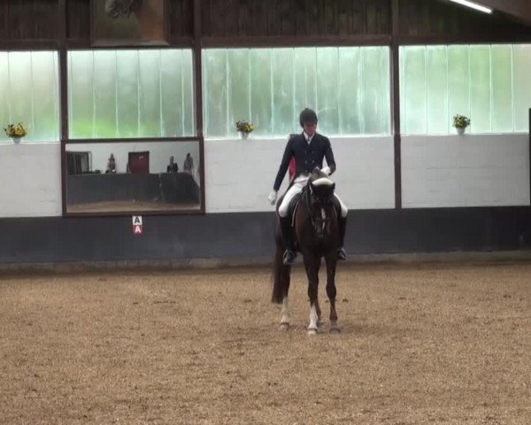 Reitturnier Kierspe-Hohenholten 2016