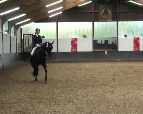 Reitturnier Kierspe-Hohenholten 2016