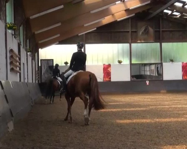Reitturnier Kierspe-Hohenholten 2016