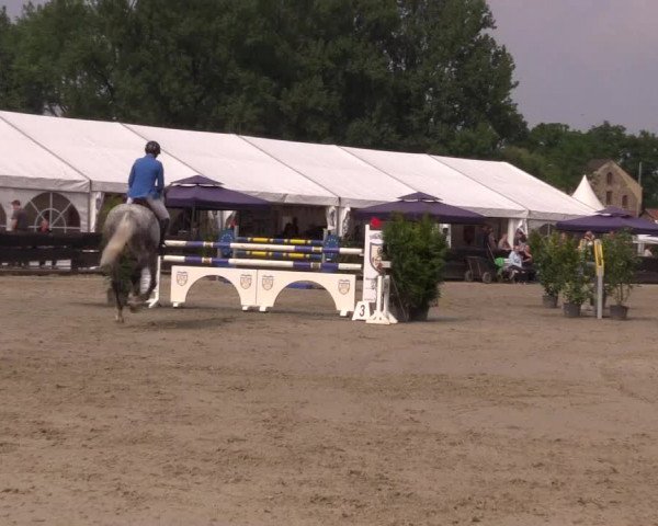 Reitturnier Bissendorf - Gut Stockum 2016