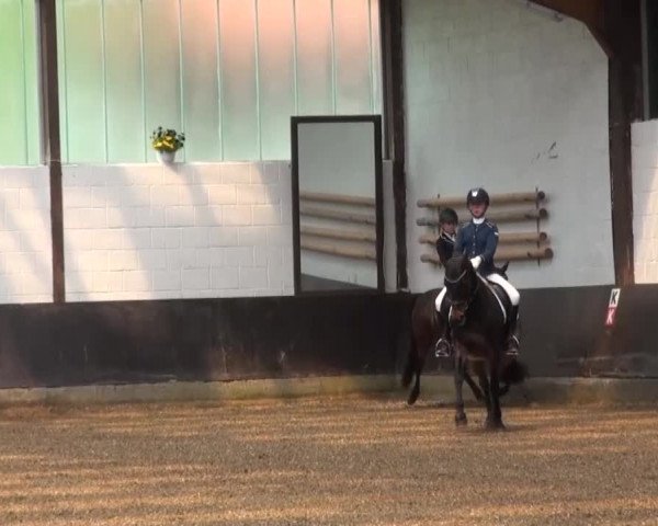 Reitturnier Kierspe-Hohenholten 2016