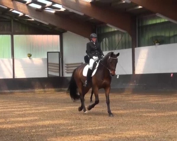 Reitturnier Kierspe-Hohenholten 2016