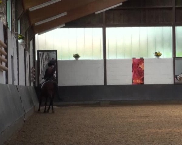 Reitturnier Kierspe-Hohenholten 2016