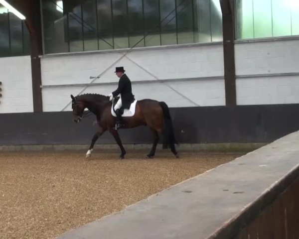 Reitturnier Kierspe-Hohenholten 2016