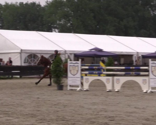 Reitturnier Bissendorf - Gut Stockum 2016