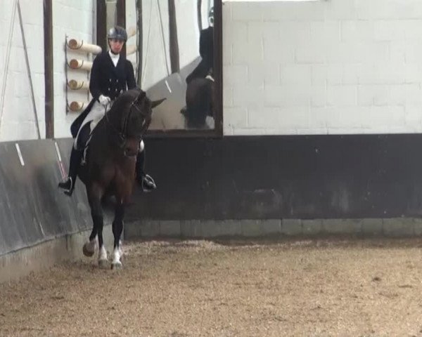 Reitturnier Kierspe-Hohenholten 2016