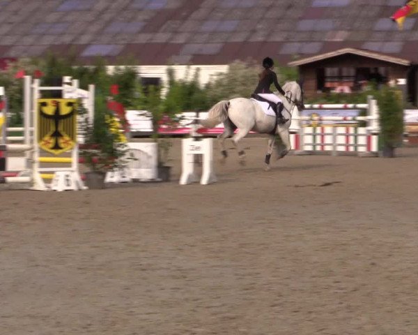 Reitturnier Bissendorf - Gut Stockum 2016