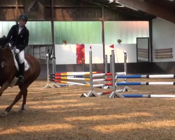 Reitturnier Kierspe-Hohenholten 2016